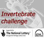 Invertebrate Challenge project website