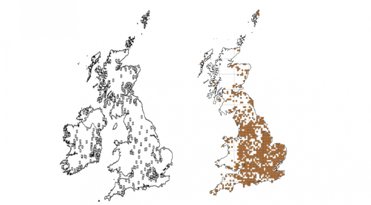 Maps showing the total number of UK earthworm records in 2009 (left) and 2017 (right)
