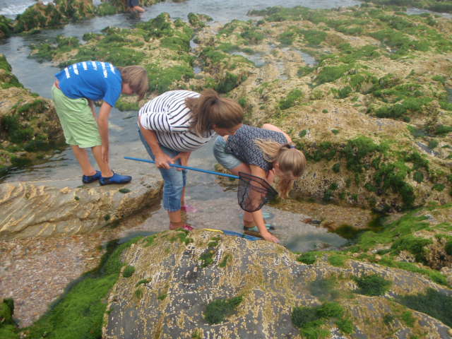 Children looking at rockpools