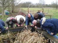 On the lookout for springtails on the surface film