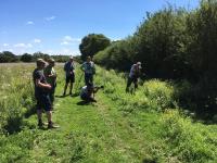 Photographing the hairstreaks