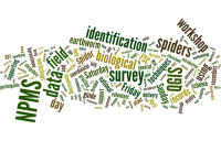 Tom.bio training page Wordle