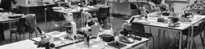 A microscope-heavy classroom at FSC Preston Montford!