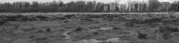 Bettisfield Moss.  Photo: C Bell