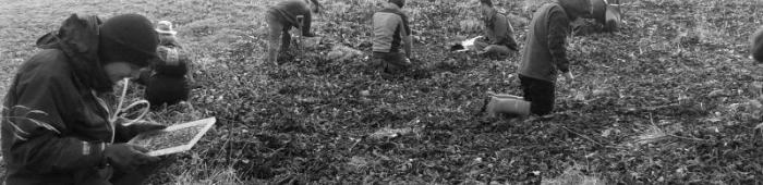 Hand searching for earthworms