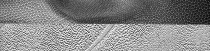 The surface of Orchesella villosa (above) and the surface of Pluto (below)