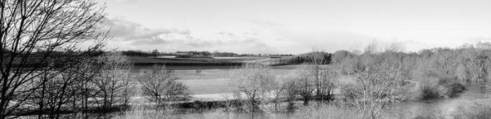 Winter trees and the River Severn in flood.  Photo: Rich Burkmar