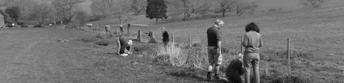 Monitoring a linear plot along a stream. Photo: C Bell