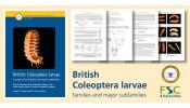 Front cover of RES Handbook to British Coleoptera larva Front cover of RES Handbook to British Coleoptera larva